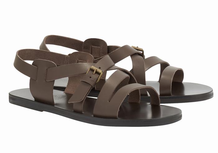 Chocolate Ancient Greek Sandals Hercules Leather Men Casual Sandals | UAR2355NI