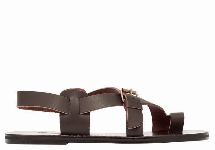 Chocolate Ancient Greek Sandals Paris Leather Men Toe-Post Sandals | ALV735JU