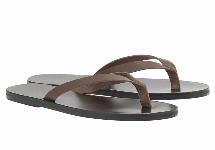 Chocolate Ancient Greek Sandals Solon Leather Men Flip Flops | STL9027KI