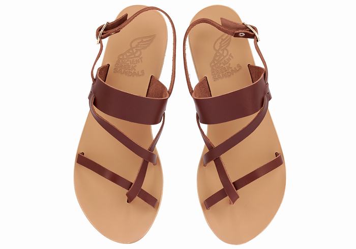 Coffee Ancient Greek Sandals Alethea Leather Women Back-Strap Sandals | HOT2678NW