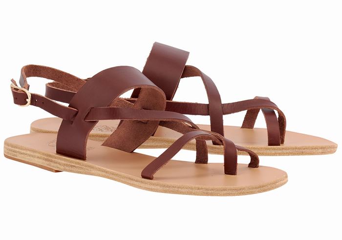 Coffee Ancient Greek Sandals Alethea Leather Women Back-Strap Sandals | HOT2678NW