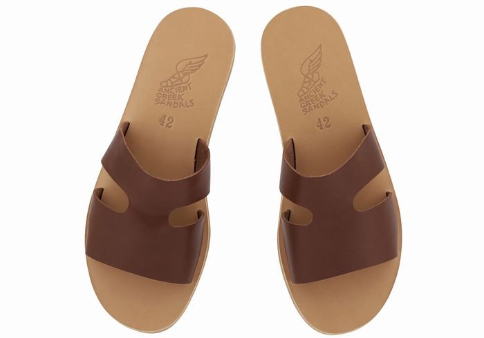 Coffee Ancient Greek Sandals Apteros Men Slide Sandals | SNU8622XC