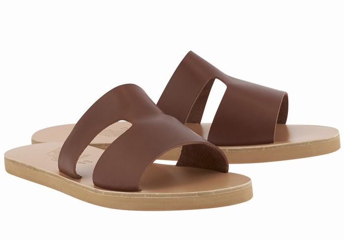 Coffee Ancient Greek Sandals Apteros Men Slide Sandals | SNU8622XC