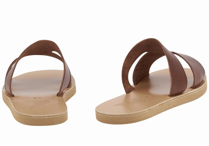 Coffee Ancient Greek Sandals Apteros Men Slide Sandals | SNU8622XC