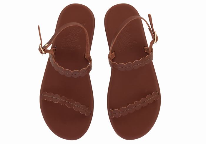 Coffee Ancient Greek Sandals Aroula Women Back-Strap Sandals | UVS4161BU