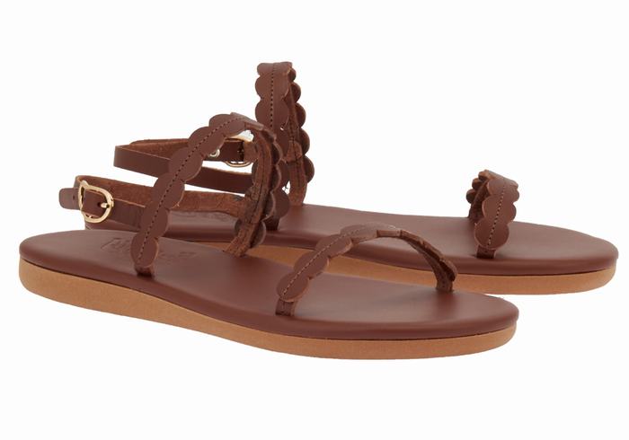 Coffee Ancient Greek Sandals Aroula Women Back-Strap Sandals | UVS4161BU