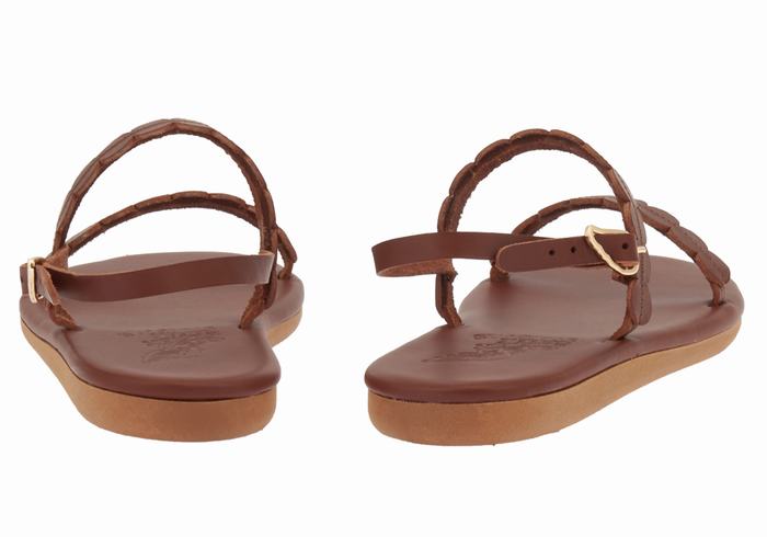 Coffee Ancient Greek Sandals Aroula Women Back-Strap Sandals | UVS4161BU