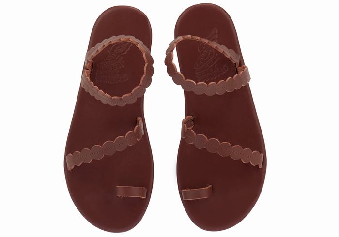 Coffee Ancient Greek Sandals Aura Women Toe-Post Sandals | LMN6820LG