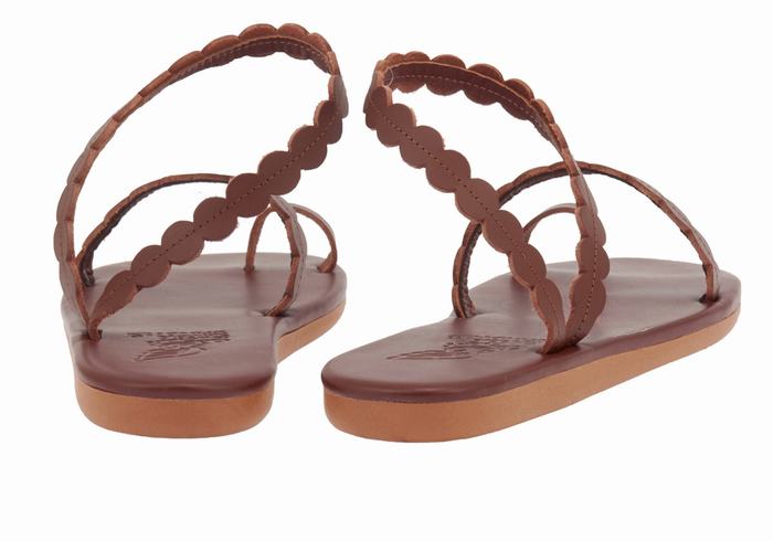 Coffee Ancient Greek Sandals Aura Women Toe-Post Sandals | LMN6820LG