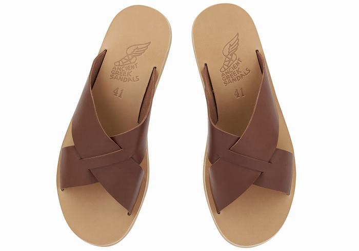 Coffee Ancient Greek Sandals Bios Men Slide Sandals | QEZ718RG