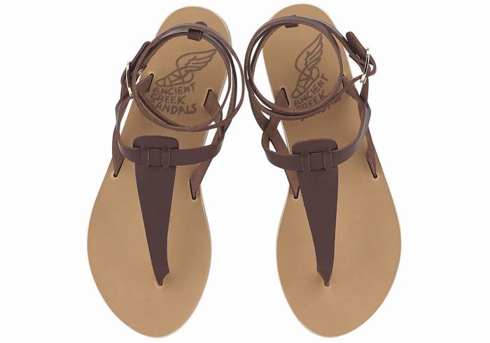 Coffee Ancient Greek Sandals Estia Leather Women Ankle Strap Sandals | VOO2216PH