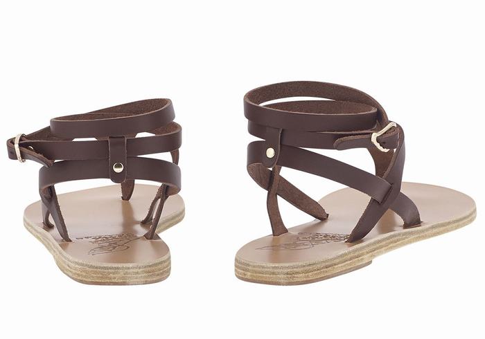 Coffee Ancient Greek Sandals Estia Leather Women Ankle Strap Sandals | VOO2216PH