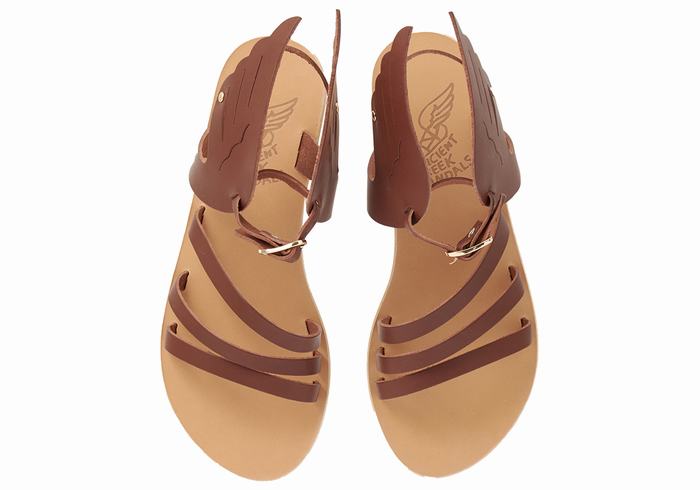 Coffee Ancient Greek Sandals Ikaria Leather Women Ankle Strap Sandals | ZZX7157RD