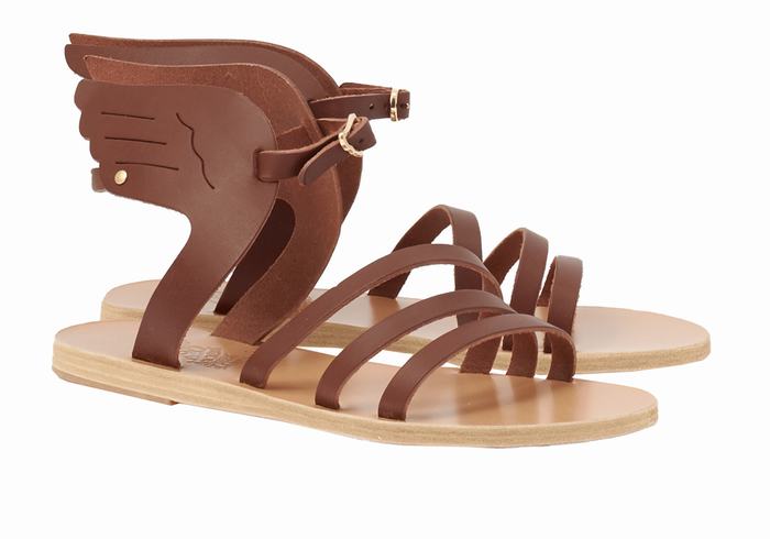 Coffee Ancient Greek Sandals Ikaria Leather Women Ankle Strap Sandals | ZZX7157RD