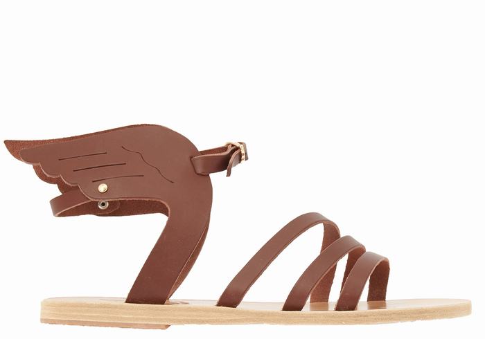 Coffee Ancient Greek Sandals Ikaria Leather Women Ankle Strap Sandals | ZZX7157RD