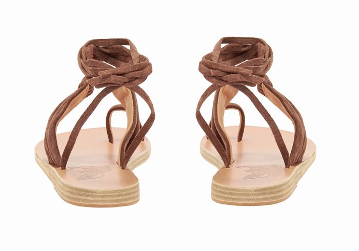 Coffee Ancient Greek Sandals Kerasia Women Gladiator Sandals | DXS7416VY