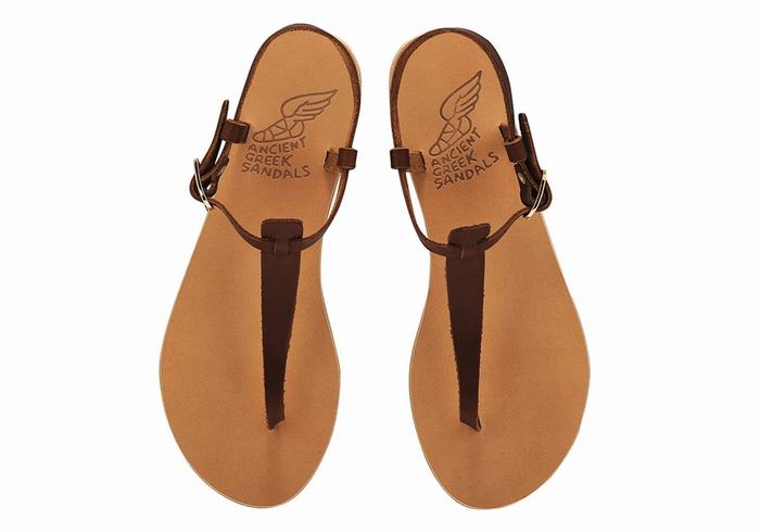 Coffee Ancient Greek Sandals Lito Flip Flop Leather Women Back-Strap Sandals | JKV1643NA