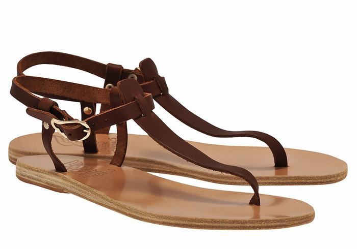 Coffee Ancient Greek Sandals Lito Flip Flop Leather Women Back-Strap Sandals | JKV1643NA