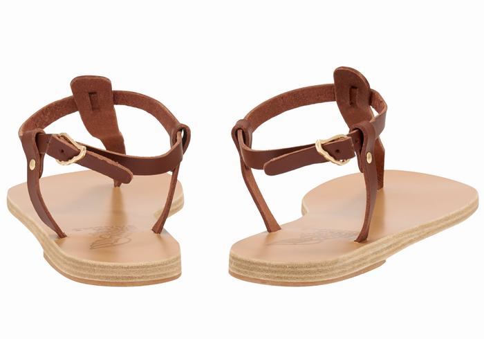 Coffee Ancient Greek Sandals Lito Flip Flop Leather Women Back-Strap Sandals | JKV1643NA