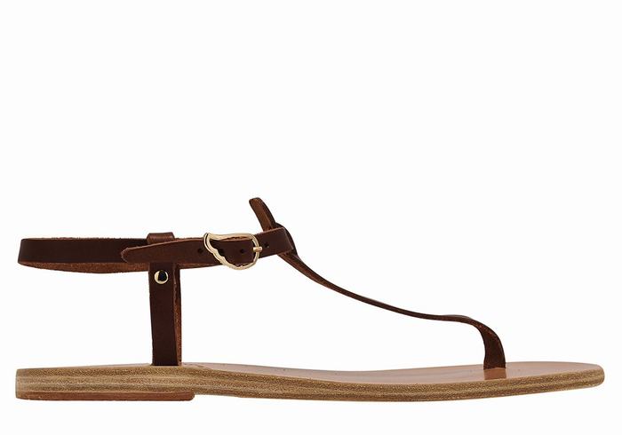 Coffee Ancient Greek Sandals Lito Flip Flop Leather Women Back-Strap Sandals | JKV1643NA