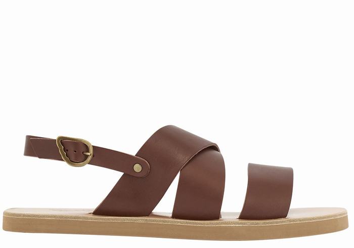 Coffee Ancient Greek Sandals Miltos Men Casual Sandals | JPP823DN