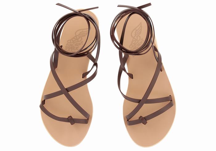 Coffee Ancient Greek Sandals Morfi Leather Women Gladiator Sandals | IEM6427PC