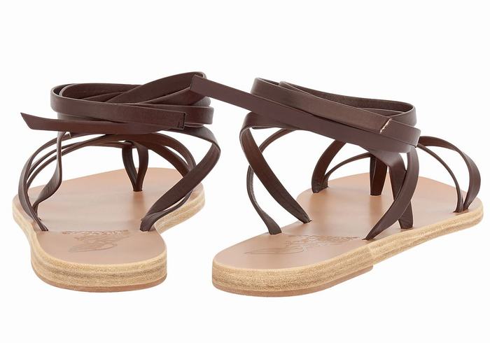 Coffee Ancient Greek Sandals Morfi Leather Women Gladiator Sandals | IEM6427PC