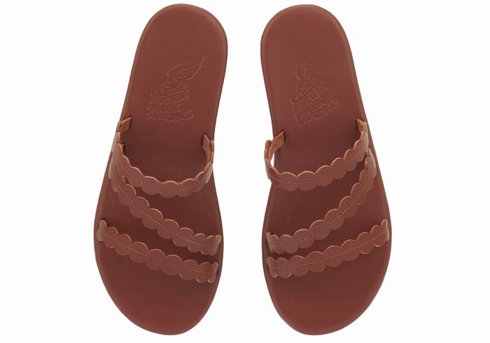 Coffee Ancient Greek Sandals Oceanis Women Slide Sandals | QNR5888IF