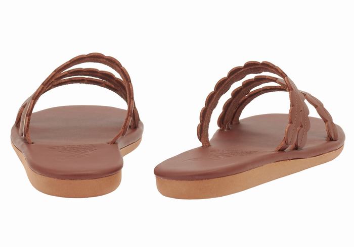 Coffee Ancient Greek Sandals Oceanis Women Slide Sandals | QNR5888IF