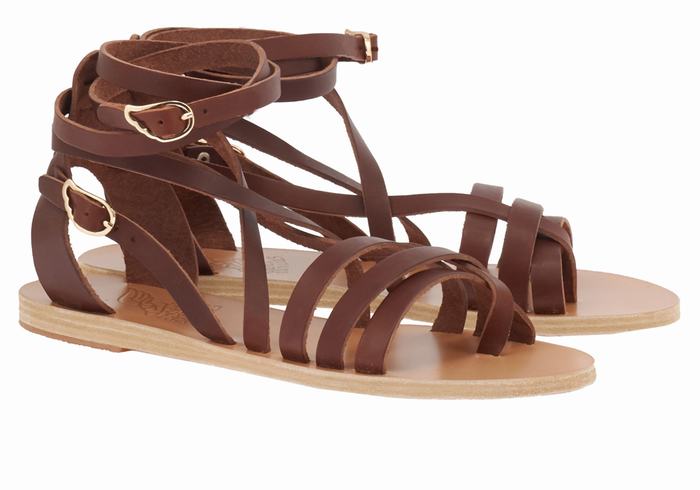 Coffee Ancient Greek Sandals Satira Leather Women Gladiator Sandals | SIR781XT