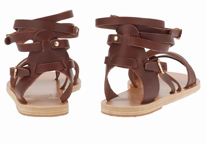 Coffee Ancient Greek Sandals Satira Leather Women Gladiator Sandals | SIR781XT