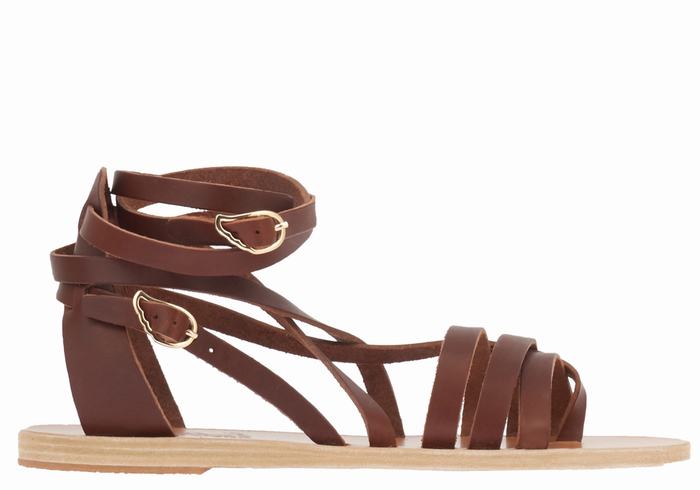 Coffee Ancient Greek Sandals Satira Leather Women Gladiator Sandals | SIR781XT