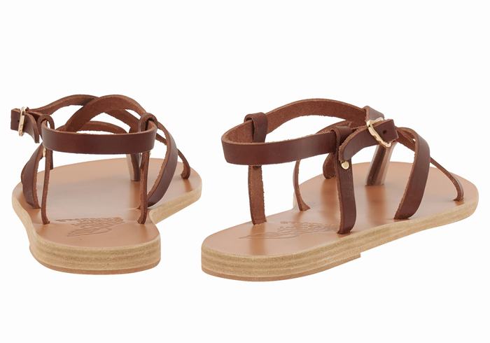 Coffee Ancient Greek Sandals Semele Leather Women Back-Strap Sandals | ZCC4158UW