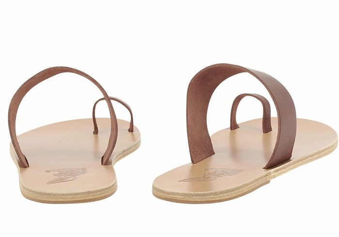 Coffee Ancient Greek Sandals Thalos Men Toe-Post Sandals | GTT3294OD