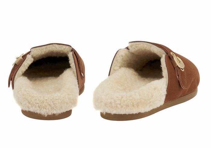 Coffee Ancient Greek Sandals Vasilitsa Women Slippers | BCE2848FG