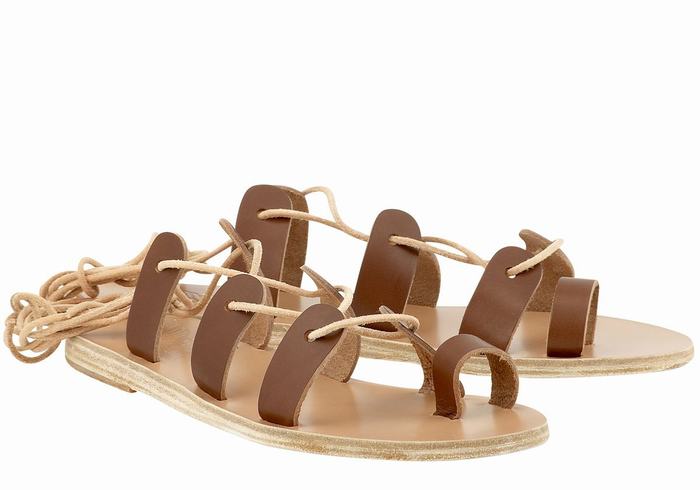 Dark Brown Ancient Greek Sandals Alcyone Leather Women Gladiator Sandals | YPE7095MQ