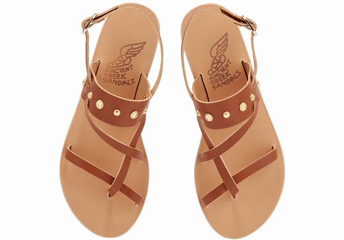 Dark Brown Ancient Greek Sandals Alethea Bee Women Back-Strap Sandals | GHN6591YW