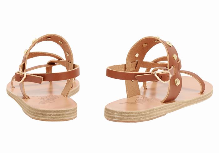 Dark Brown Ancient Greek Sandals Alethea Bee Women Back-Strap Sandals | GHN6591YW