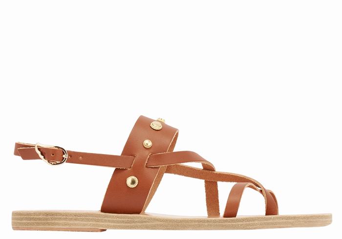 Dark Brown Ancient Greek Sandals Alethea Bee Women Back-Strap Sandals | GHN6591YW