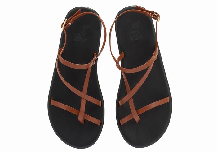 Dark Brown Ancient Greek Sandals Alethea Women Back-Strap Sandals | IFZ7343HV