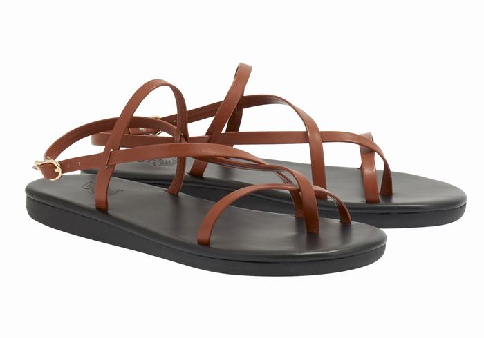 Dark Brown Ancient Greek Sandals Alethea Women Back-Strap Sandals | IFZ7343HV