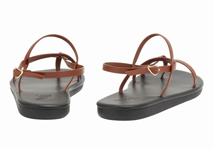 Dark Brown Ancient Greek Sandals Alethea Women Back-Strap Sandals | IFZ7343HV