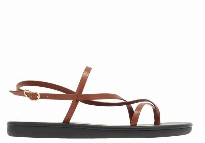 Dark Brown Ancient Greek Sandals Alethea Women Back-Strap Sandals | IFZ7343HV