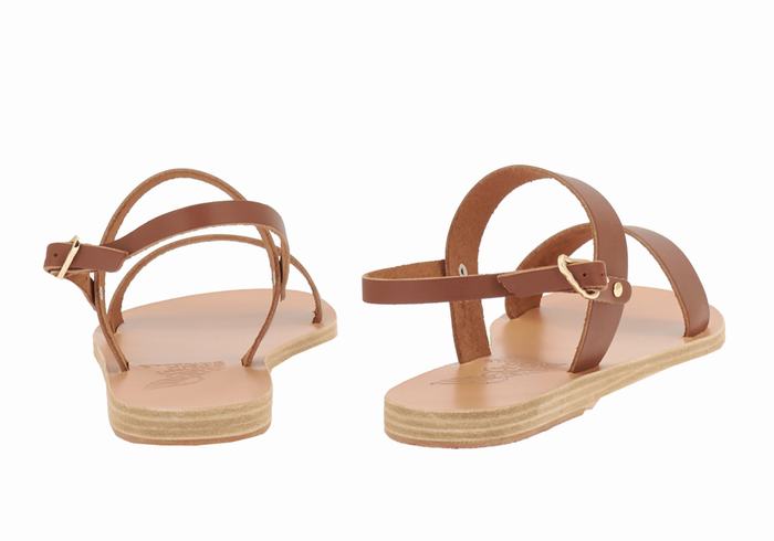 Dark Brown Ancient Greek Sandals Clio Women Back-Strap Sandals | VRJ9624DH