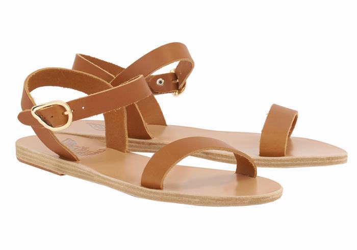 Dark Brown Ancient Greek Sandals Drama New Leather Women Casual Sandals | SOB9867TW