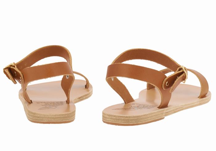 Dark Brown Ancient Greek Sandals Drama New Leather Women Casual Sandals | SOB9867TW