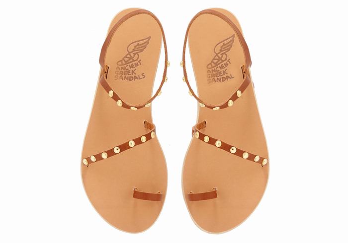 Dark Brown Ancient Greek Sandals Eleftheria Bee Women Toe-Post Sandals | SBH7566LS