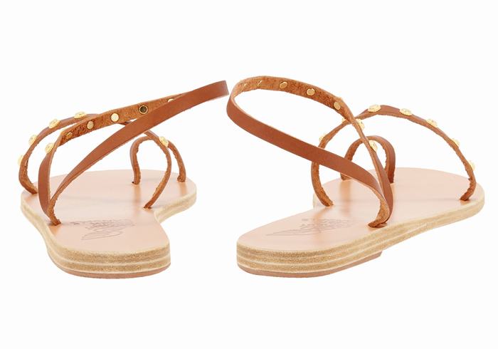 Dark Brown Ancient Greek Sandals Eleftheria Bee Women Toe-Post Sandals | SBH7566LS