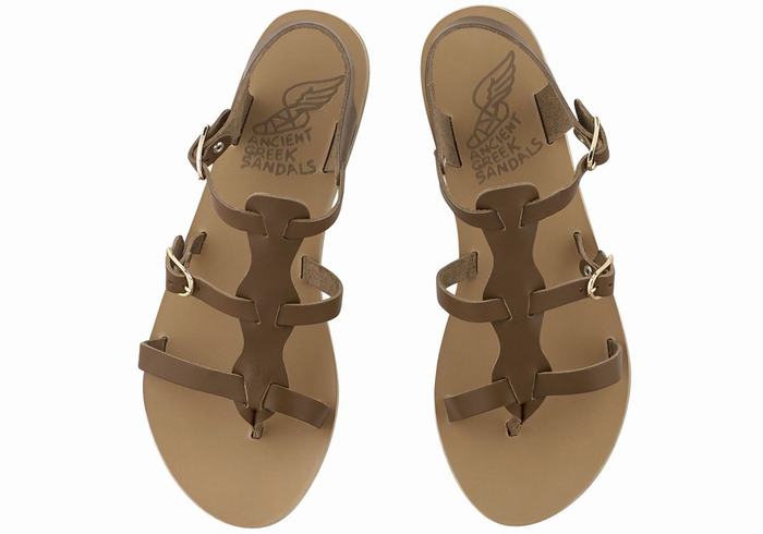 Dark Brown Ancient Greek Sandals Grace Kelly Leather Women Casual Sandals | IKW721TF