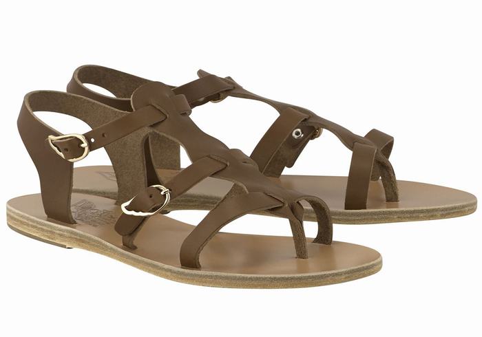 Dark Brown Ancient Greek Sandals Grace Kelly Leather Women Casual Sandals | IKW721TF